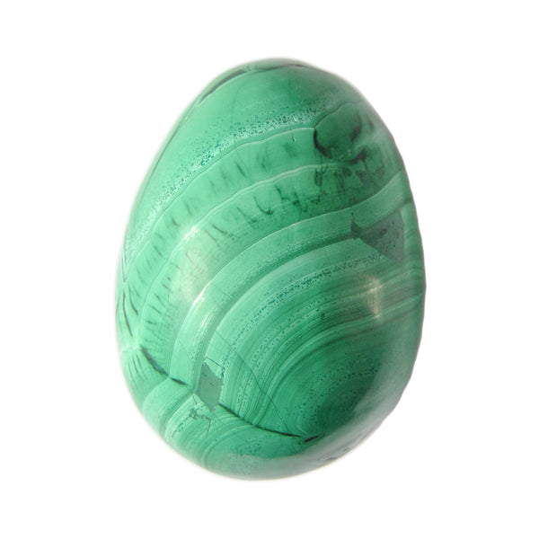 Large Malachite Egg