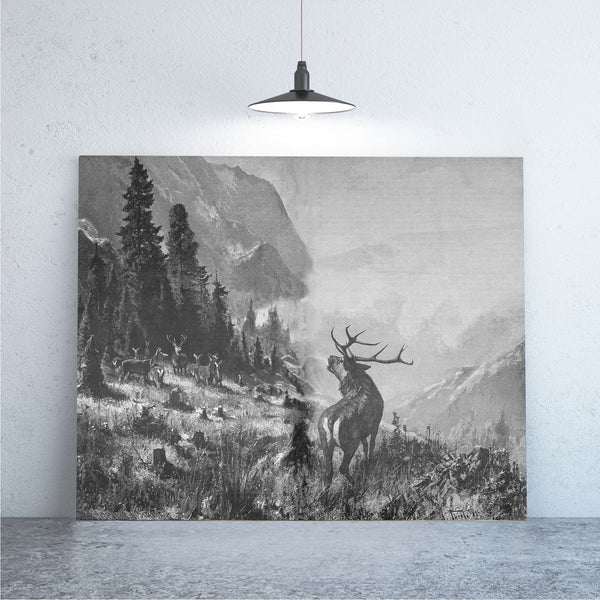Deer In The Valley Art Print